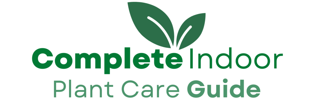 Complete Indoor Plant Care Guide